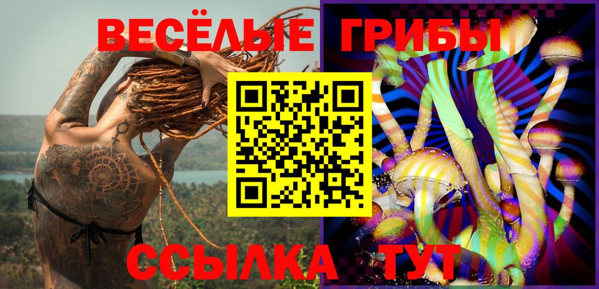 Галлюциногенные грибы мицелий Краснодар